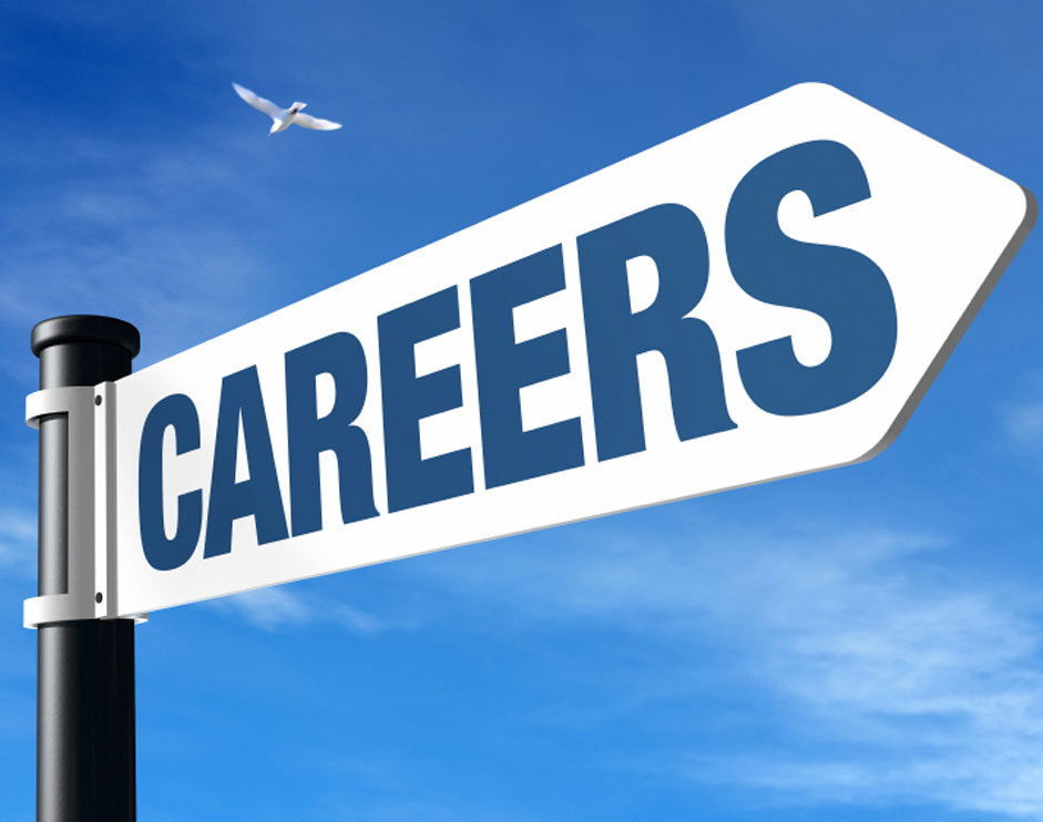 La Capitale careers team