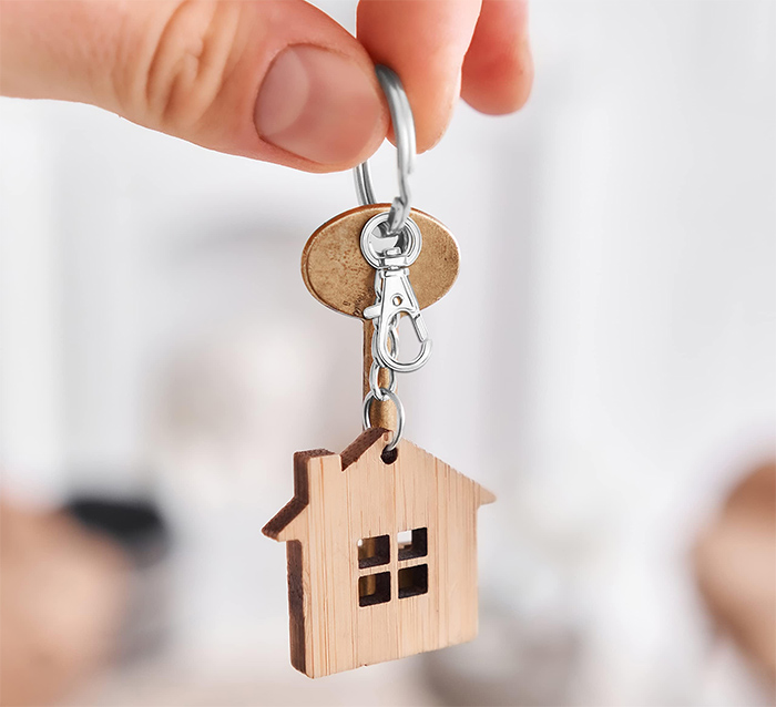 Buyer reviewing Dubai property choices with professional guidance